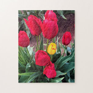 One Yellow with Red Tulips Jigsaw Puzzle