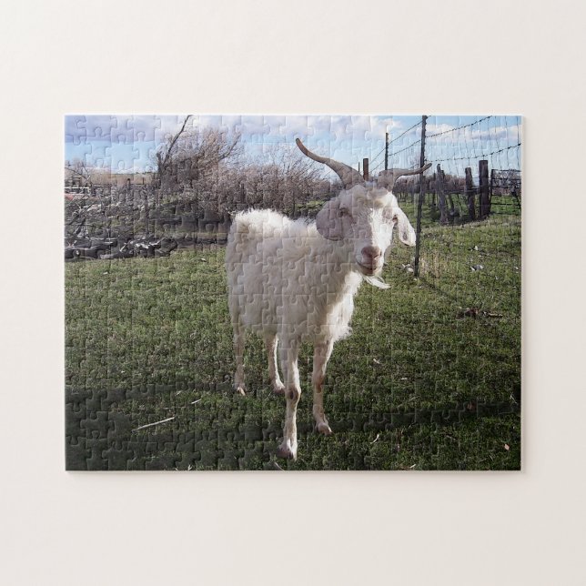 One Young Goat Jigsaw Puzzle (Horizontal)