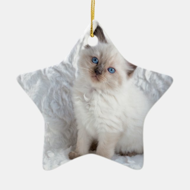 One young ragdoll cat sitting on fur in chair ceramic ornament (Front)