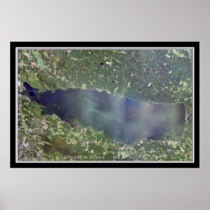 Oneida Lake New York Satellite Poster Map