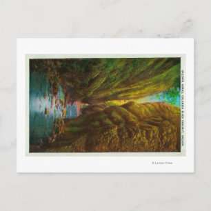 Oneonta Gorge in Columbia River Gorge Postcard