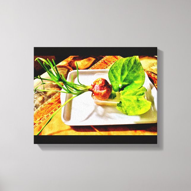 Onion Art Canvas Print (Front)