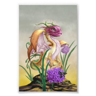 Onion Dragon 4x6 Print