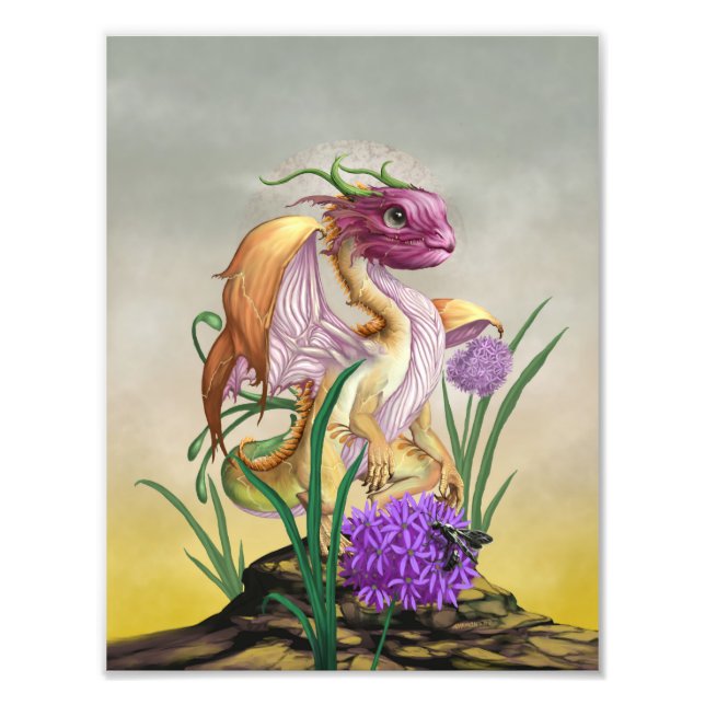 Onion Dragon 8.5x11 Print (Front)