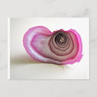 Onion layers postcard