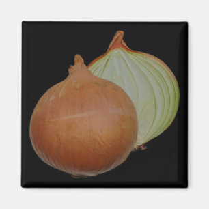 Onion magnet
