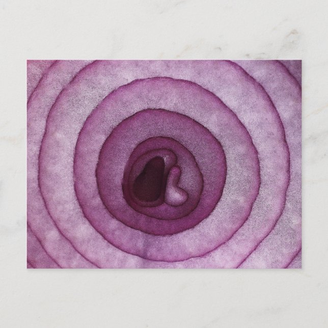 Onion Postcard (Front)