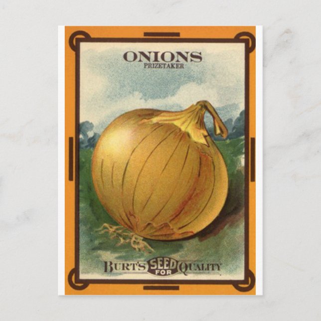 onion seed packet postcard (Front)