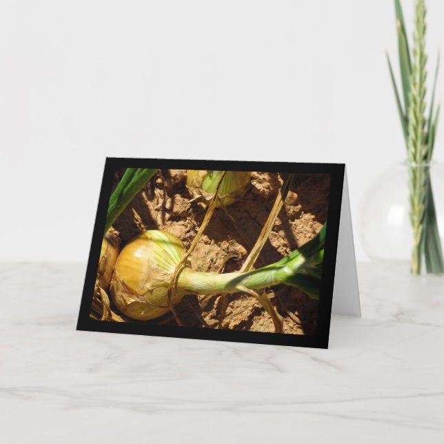 Onions at Harvest Card (Front)