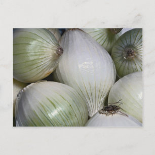 Onions Postcard