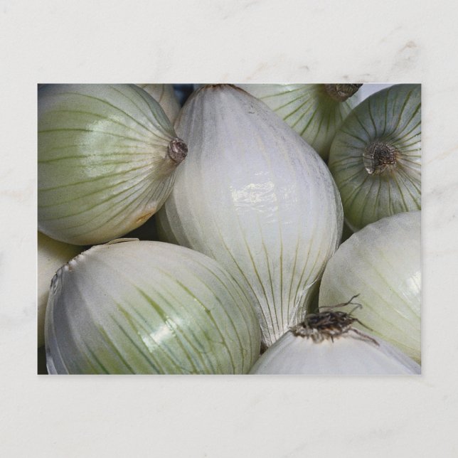 Onions Postcard (Front)
