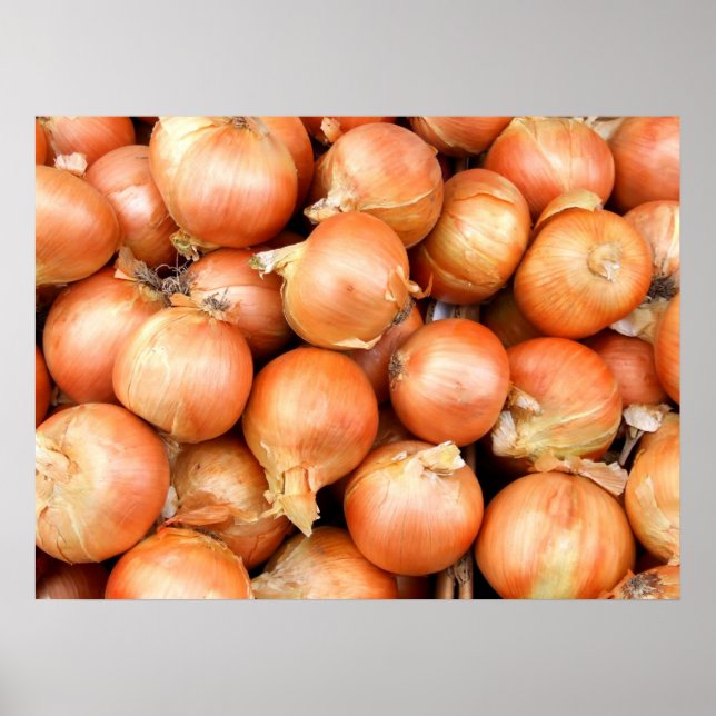 Onions Poster (Front)