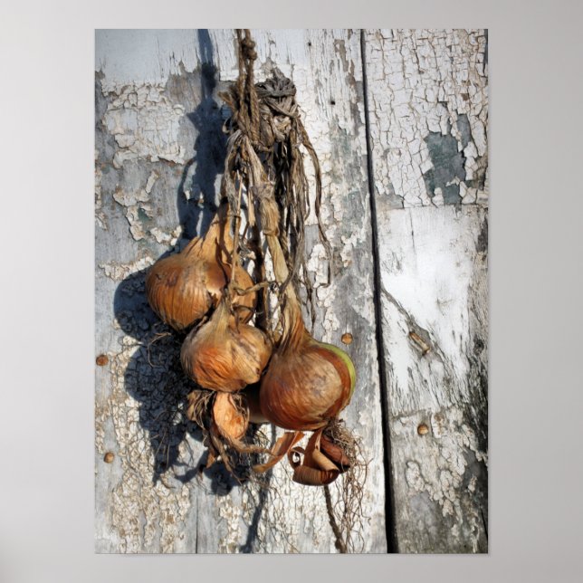 ONIONS POSTER (Front)