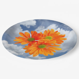 Only 3 Gerbera Daisy Blossoms + your text & ideas Paper Plate