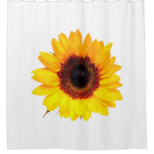 Only a Sunflower Blossom + your backgr. & ideas