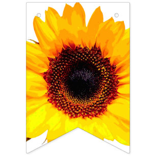 Only a Sunflower Blossom + your backgr. & ideas Bunting Flags