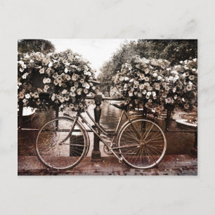 Only in Amsterdam Postcard