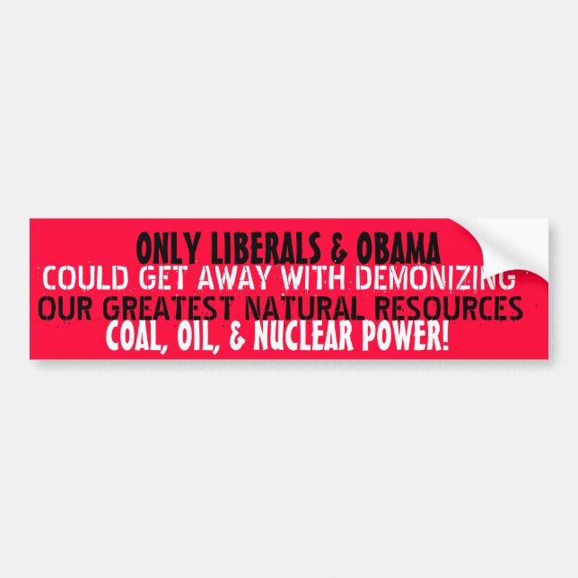 ONLY LIBERALS & OBAMA COULD DEMONIZE OUR BUMPER STICKER (Front)