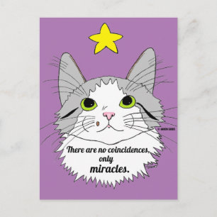 Only Miracles Inspirational Ragdoll Cat Postcard