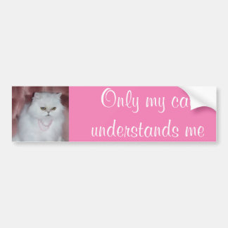 Only My Cat Understands Me Bumper Sticker Persian