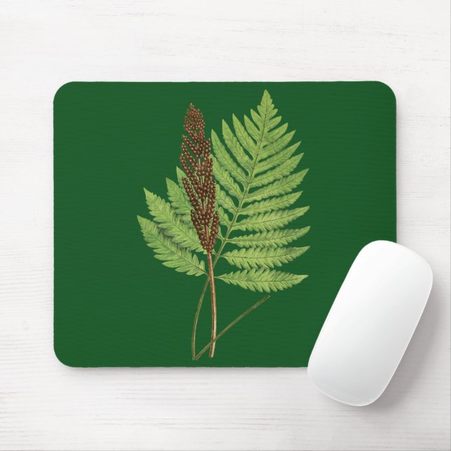 Onoclea Sensibilis (Sensitive Fern) fern leaf Mouse Pad (With Mouse)