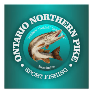 Ontario Pike Fishing Poster