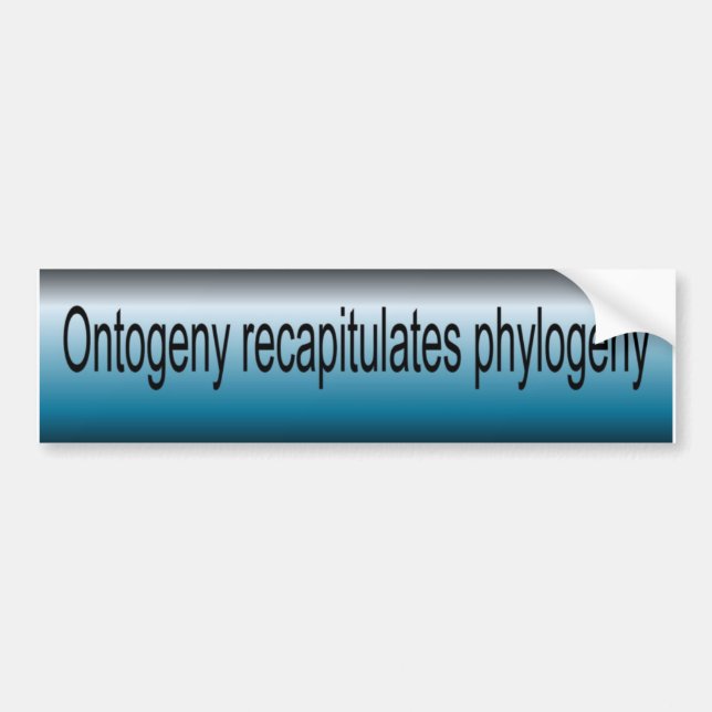 Ontogeny Recapitulate Phylogeny Bumper Sticker (Front)