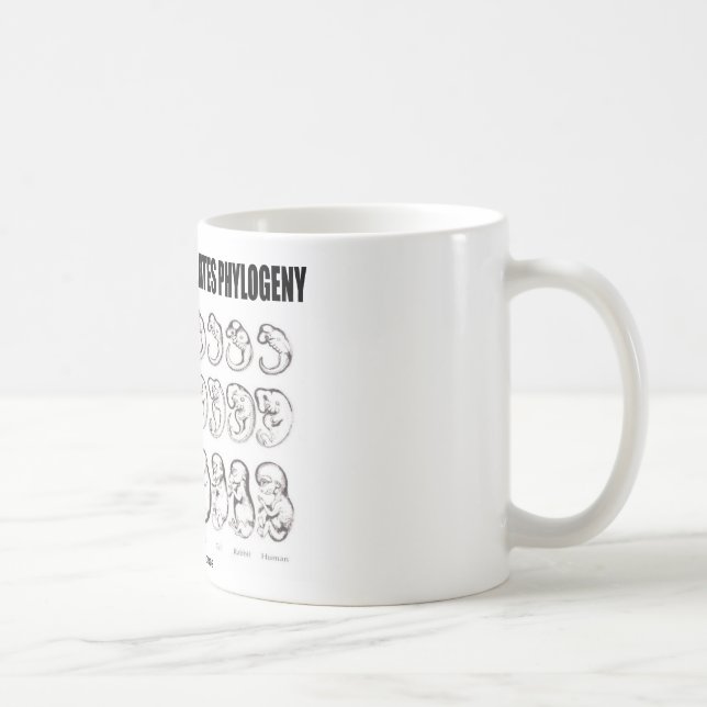 Ontogeny Recapitulates Phylogeny (Biology) Coffee Mug (Right)
