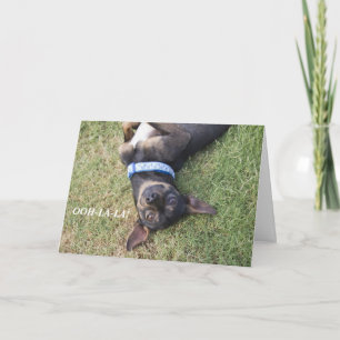 Ooh-la-la Chihuahua Birthday Card