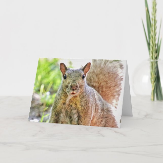 Ooops I Missed Your Birthday Card (Front)