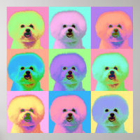 Op Art - Bichon Frise - Cody