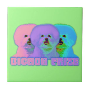 Op Art - Bichon Frise - Cody Tile