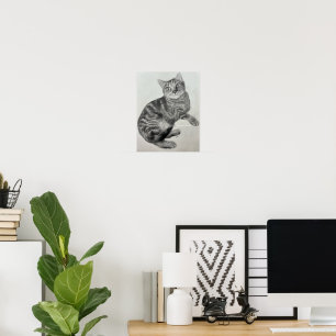 Opal (cat) - Print