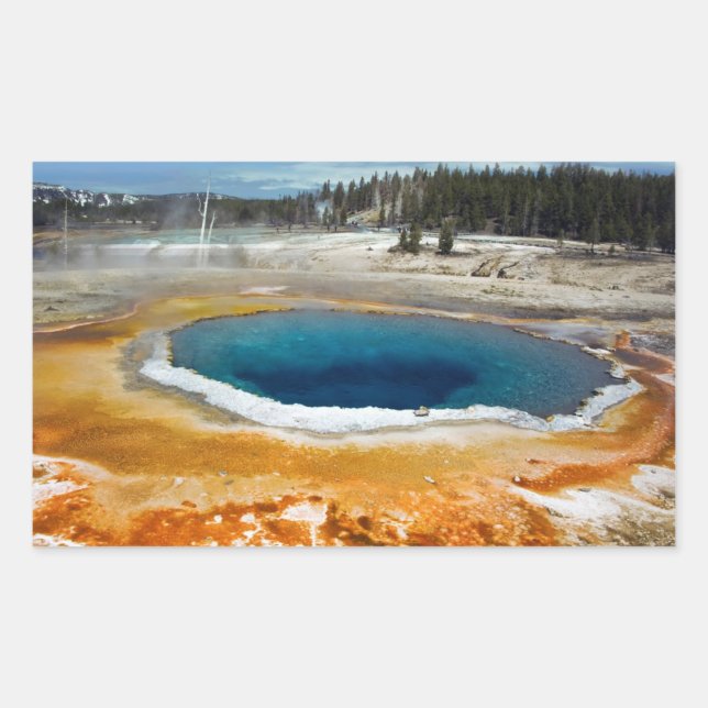 Opal Pool Sticker (Front)