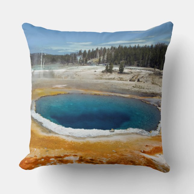 Opal Pool Throw Pillow (Front)