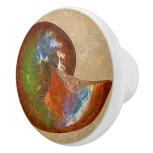 Opalized Sphenodiscus Lenticularis Ammonite Knobs