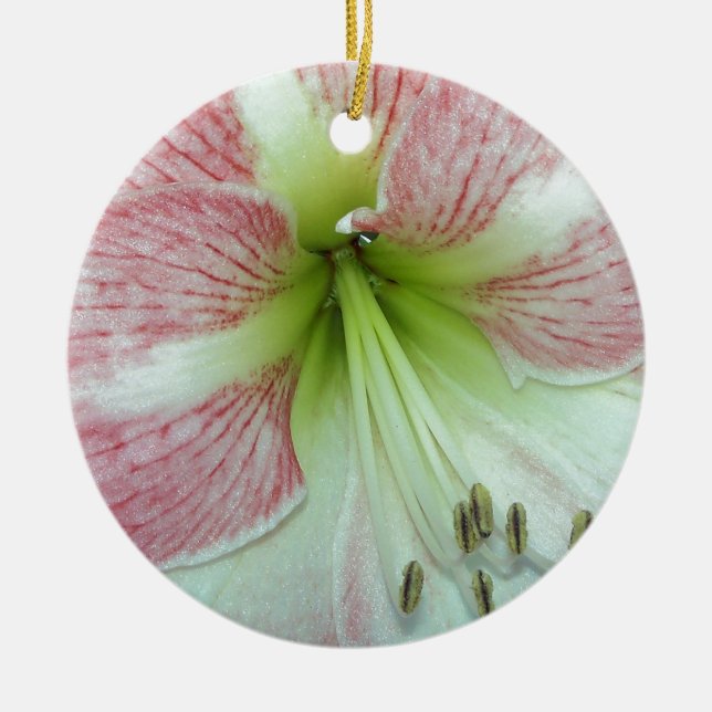 Open Amaryllis Apple Blossom Ceramic Ornament (Front)