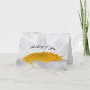 Open Face White Daisy Thinking of You Sympathy Card