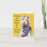 Open Heart & Forever Home Pet Rescue TY Cards