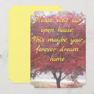 Open House Invitations