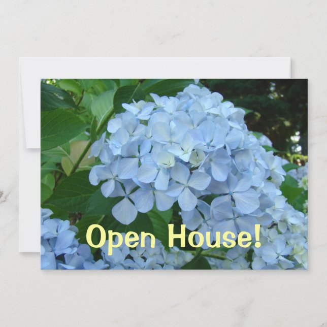 Open House! invitations School Events Hydrangeas (Front)