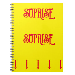 OPEN IT NOW GIFT PACKAGING YELLOW RED NOTEBOOK
