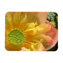 Open Lotus Magnet