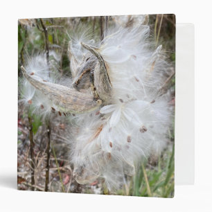 Open Milkweed Pods Seeds with Silk Binder