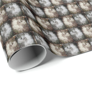 Open Milkweed Pods   Seeds with Silk   Filters Wrapping Paper