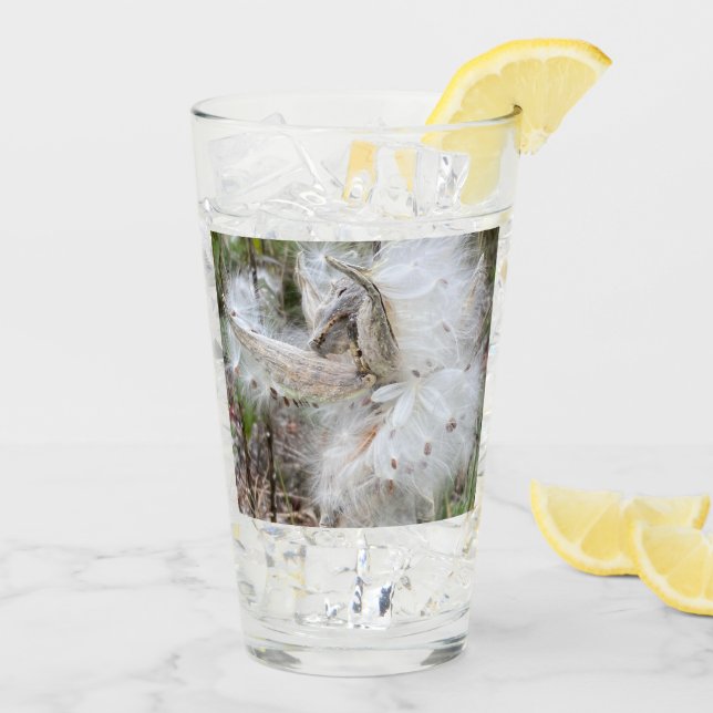 Open Milkweed Pods | Seeds with Silk | Glass (Back Ice)