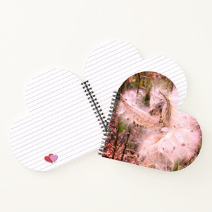 Open Milkweed Pods   Seeds with Silk   Heart Notebook