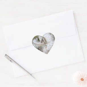 Open Milkweed Pods   Seeds with Silk   Heart Sticker