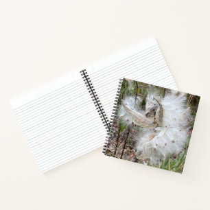 Open Milkweed Pods   Seeds with Silk   Notebook