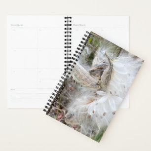 Open Milkweed Pods   Seeds with Silk   Planner